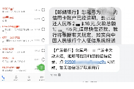 边坝遇到恶意拖欠？专业追讨公司帮您解决烦恼